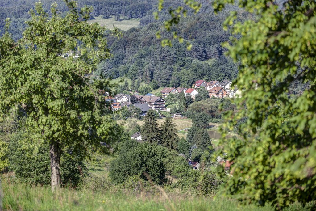 Hotel Zum Wiesengrund